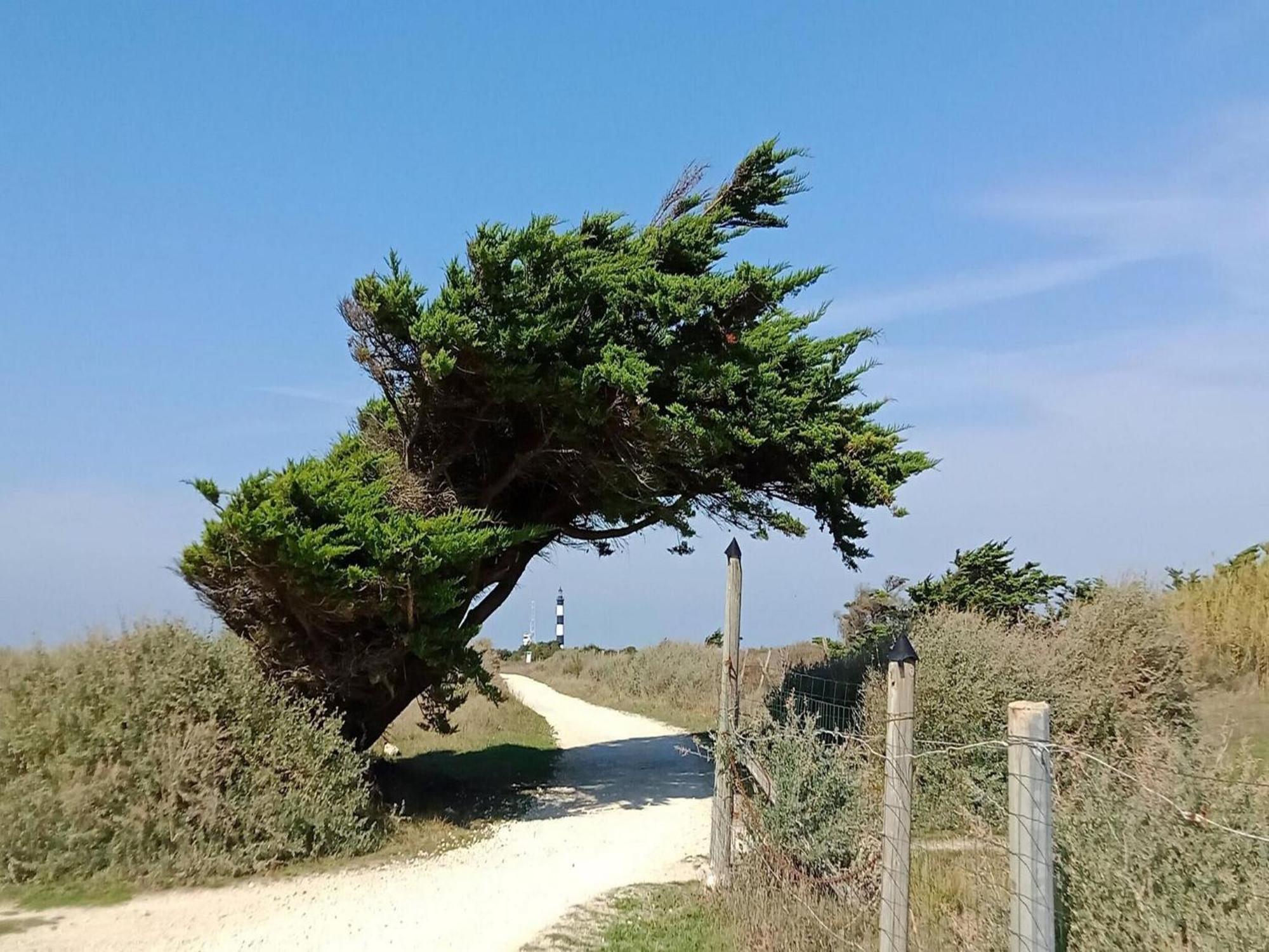 Les Hameaux Des Sables Vignie Saint Georges D Ol Ron Holiday Home Not Detached Buitenkant foto