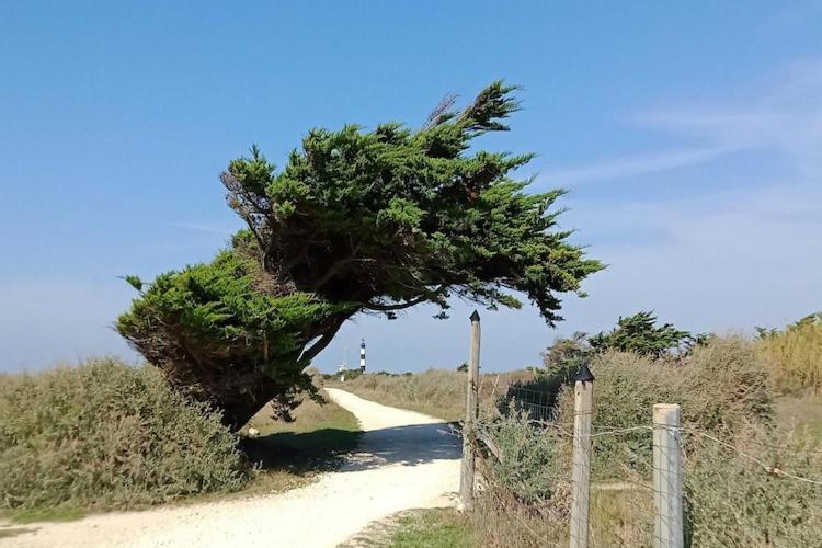 Les Hameaux Des Sables Vignie Saint Georges D Ol Ron Holiday Home Not Detached Buitenkant foto